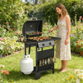 Barbecue grill, outdoor grill, gas grill, black